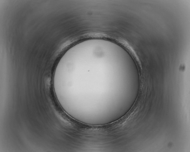 X0000095930063200801110929