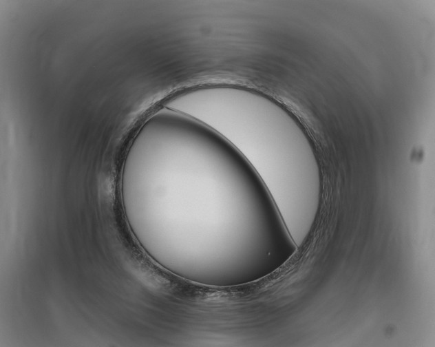 X0000095930064200801110929