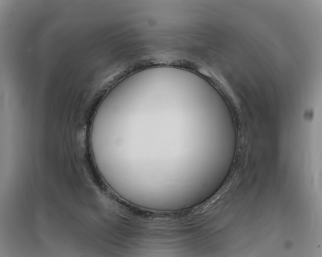 X0000095930066200801110929