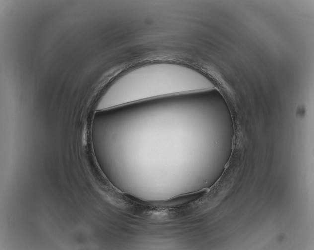 X0000095930068200801110929