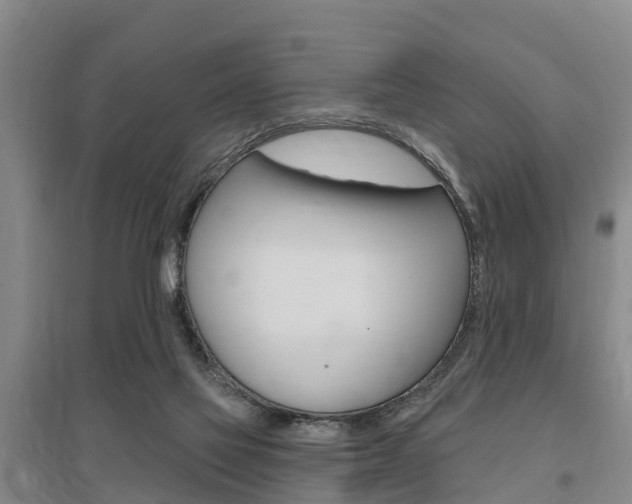 X0000095930069200801110929