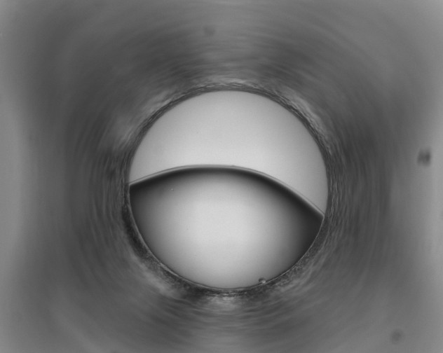 X0000095930071200801110929