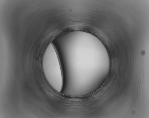 X0000095930073200801110929