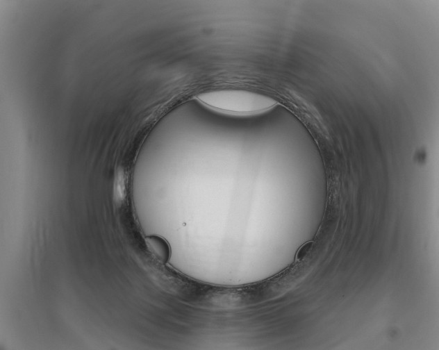 X0000095930075200801110929