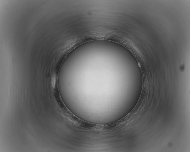 X0000095930076200801110929