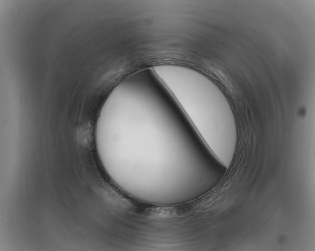 X0000095930077200801110929