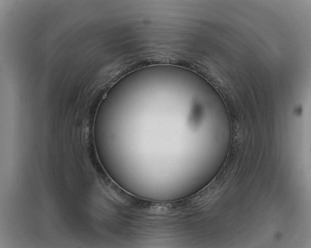 X0000095930080200801110929
