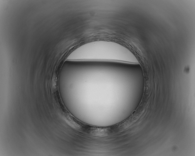 X0000095930081200801110929