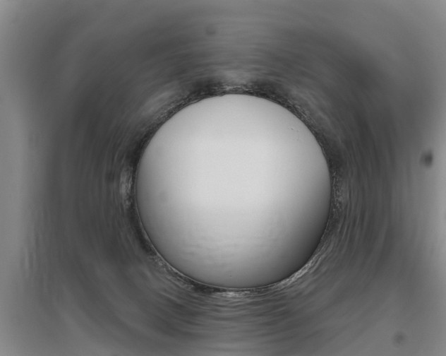 X0000095930082200801110929