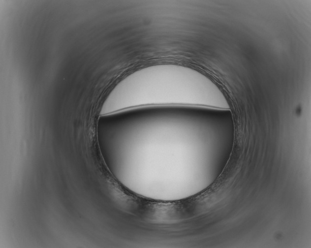 X0000095930085200801110929