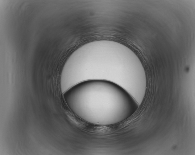 X0000095930087200801110929