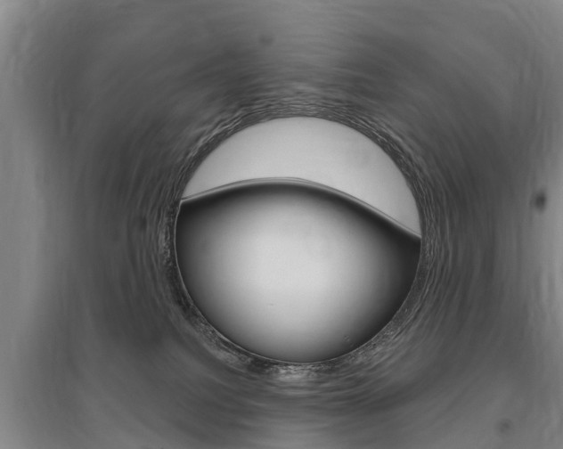 X0000095930088200801110929