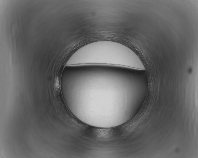 X0000095930089200801110929