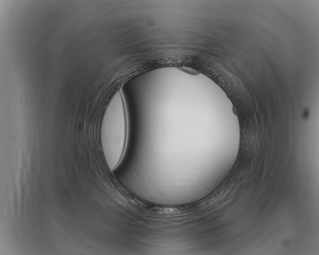 X0000095930091200801110929