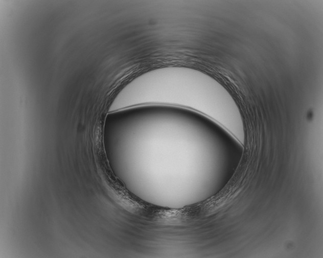 X0000095930092200801110929