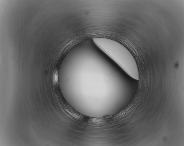 X0000095930095200801110929