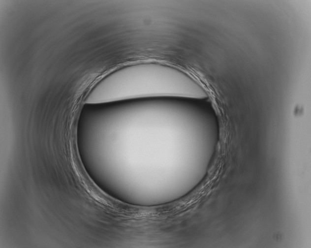 X0000095930097200801110929