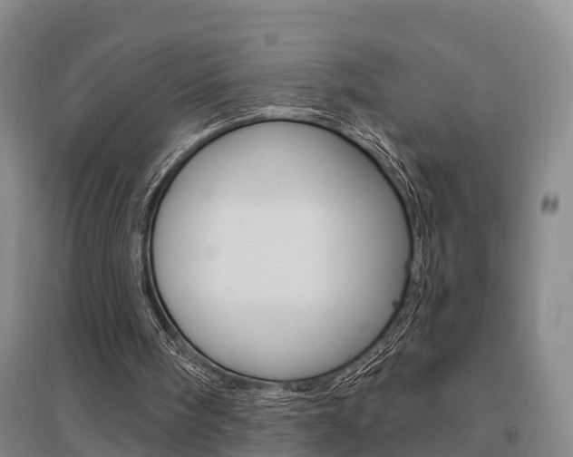 X0000095930098200801110929