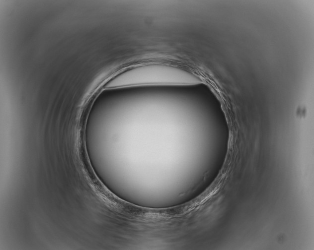 X0000095930101200801110928