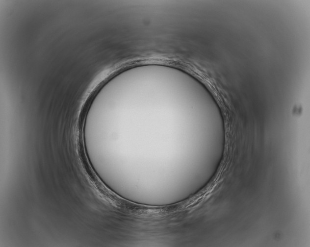 X0000095930102200801110928