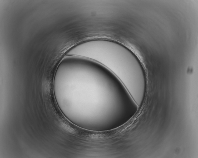 X0000095930105200801110928