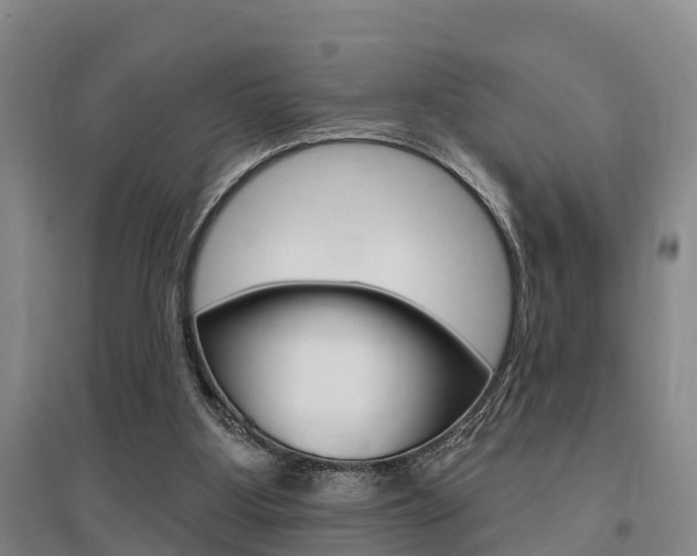 X0000095930107200801110928