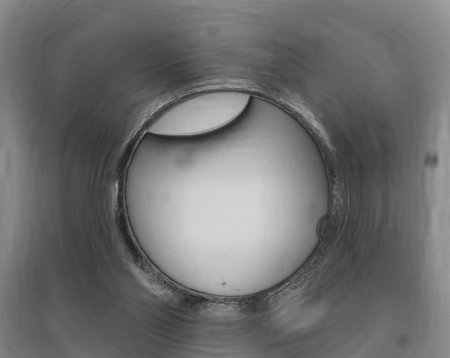 X0000095930110200801110928