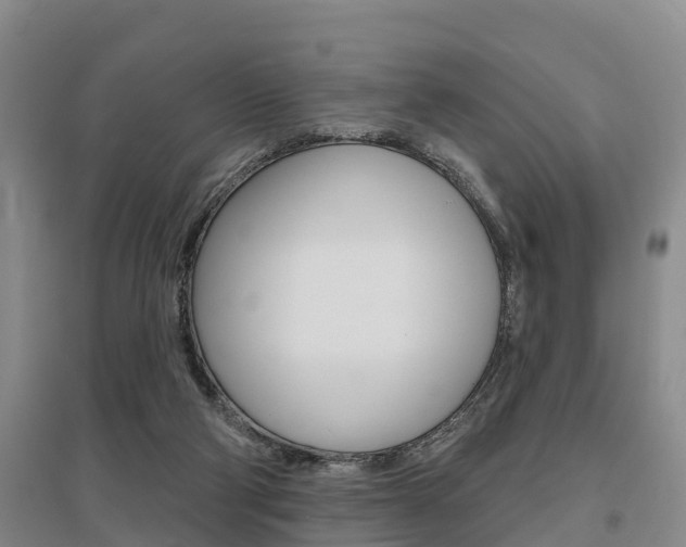 X0000095930114200801110928