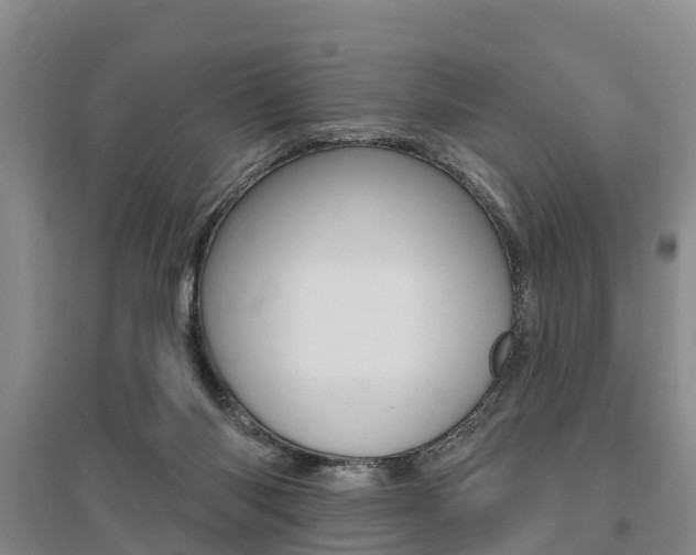 X0000095930118200801110928