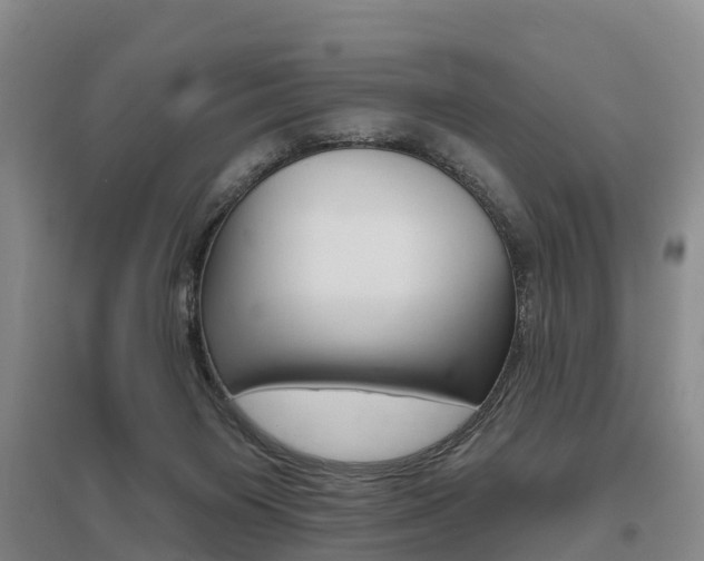 X0000095930119200801110928