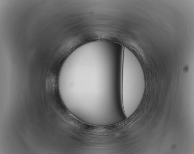 X0000095930123200801110928