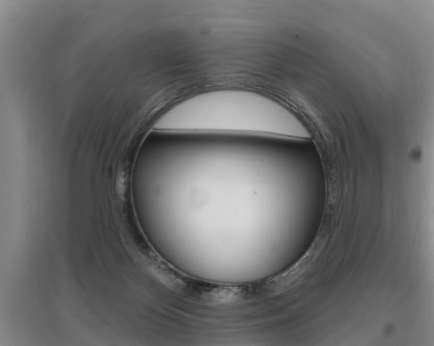 X0000095930124200801110928