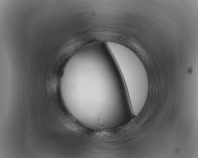 X0000095930125200801110928