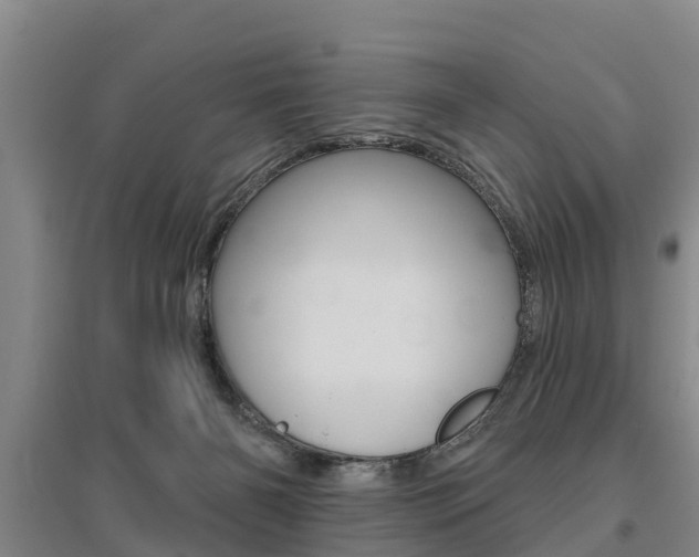 X0000095930126200801110928