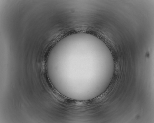 X0000095930130200801110928