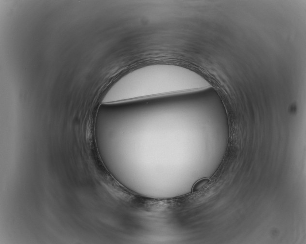 X0000095930131200801110928