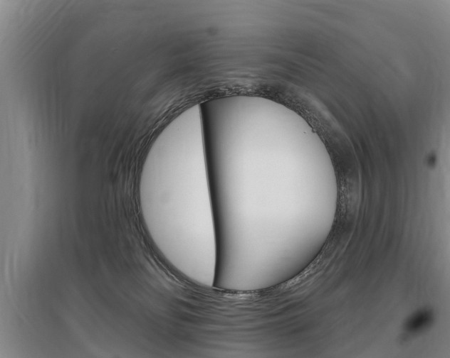 X0000095930134200801110928