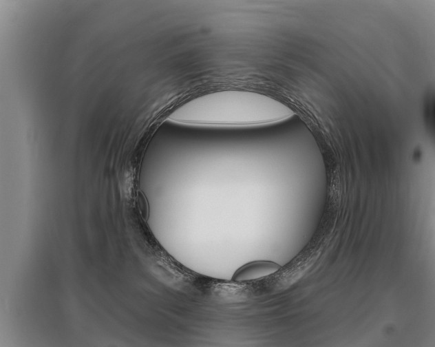 X0000095930139200801110928