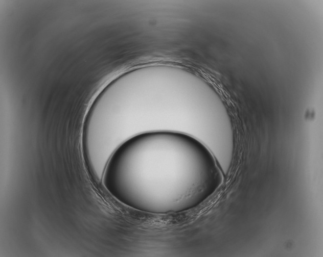 X0000095930148200801110927