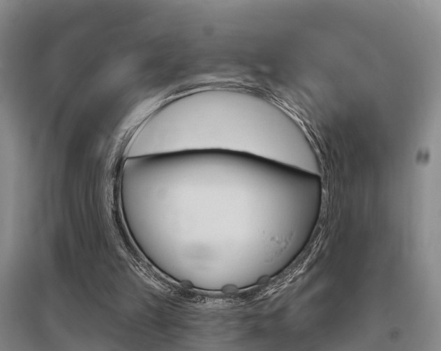 X0000095930149200801110927