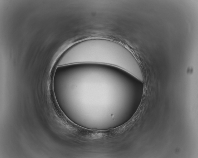 X0000095930152200801110927