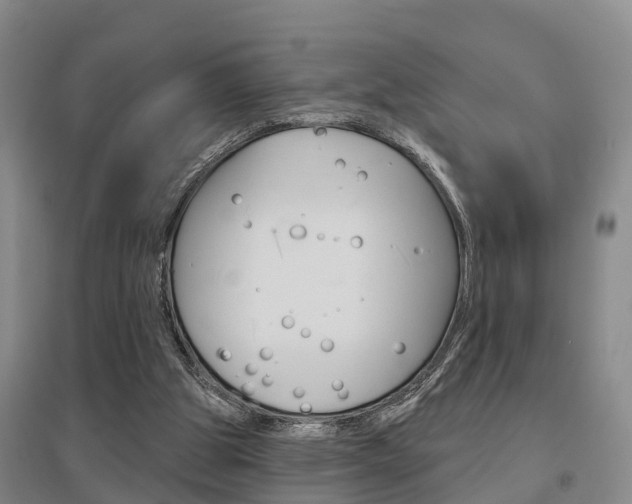 X0000095930153200801110927