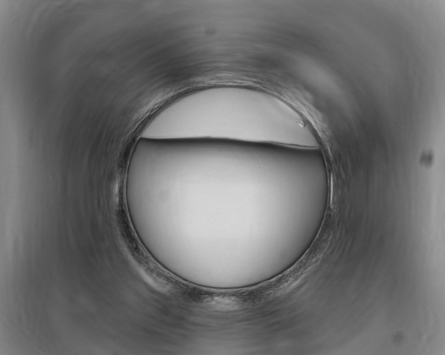 X0000095930157200801110927