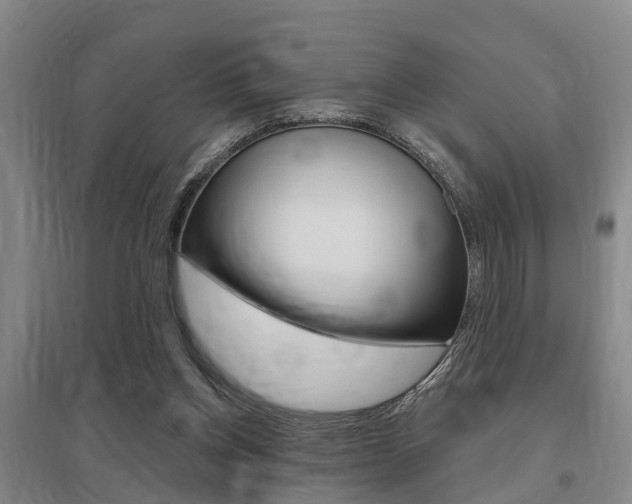 X0000095930158200801110927