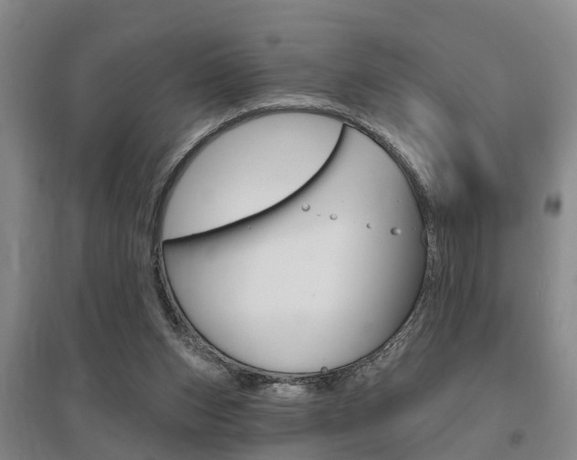 X0000095930159200801110927