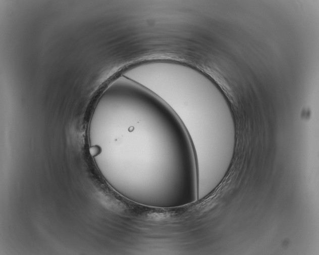 X0000095930160200801110927