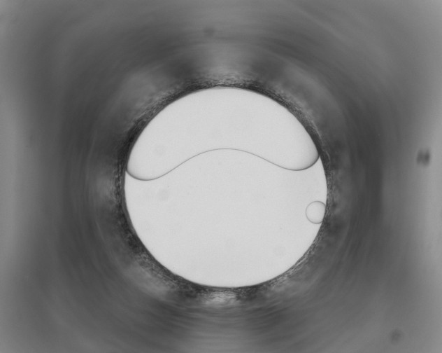 X0000095930162200801110927
