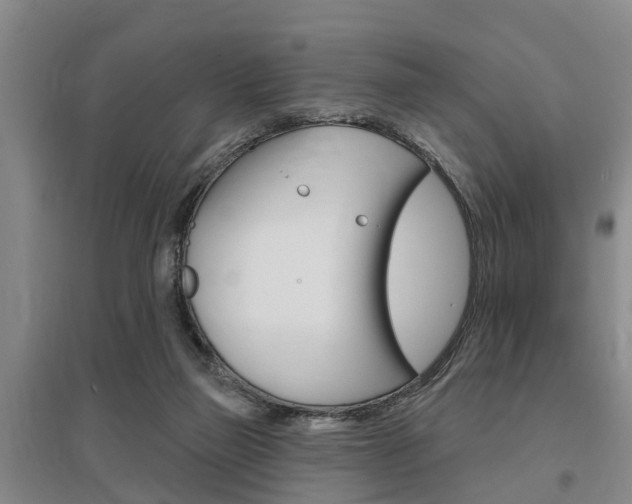 X0000095930165200801110927