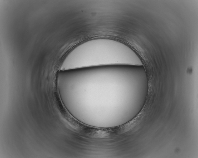X0000095930166200801110927