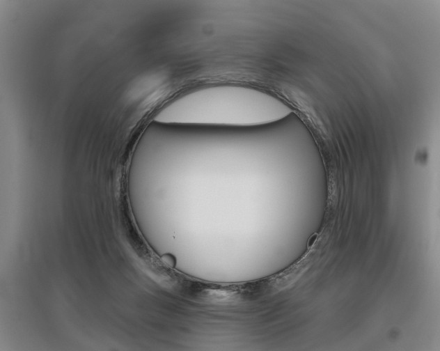 X0000095930167200801110927